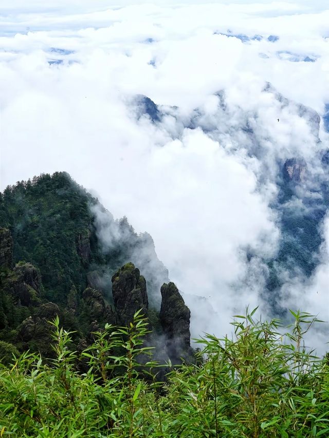 春滿荊楚，邂逅湖北最美四月天