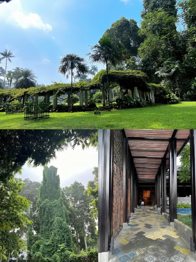 Venture into a Real-Life Wonderland! Exploring the Bogor Botanical Gardens