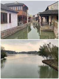 沙家浜，江南水鄉的「紅綠交響詩」！