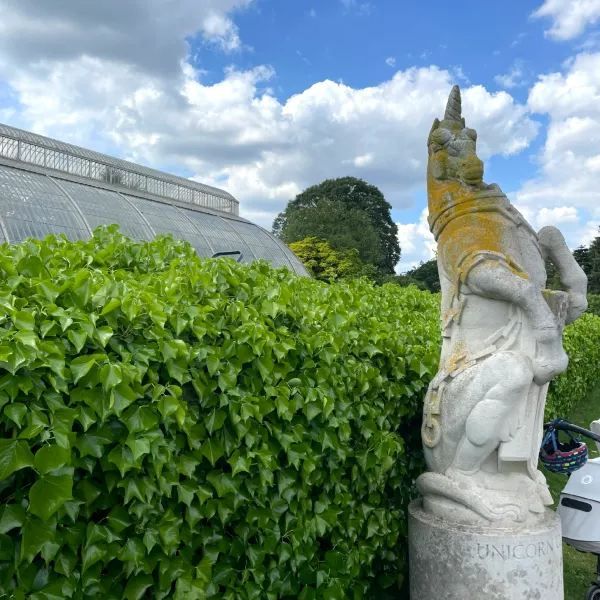 Exploring the Vastness of Kew Gardens
