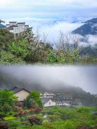 旅行日記｜奔赴煙雨江南的葛仙村春醒之約