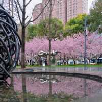 雨中櫻影 | 靜安雕塑公園限定浪漫🌸