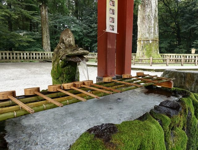 別再只知道京都神社！霧島神宮，藏在鹿兒島的國寶級秘境