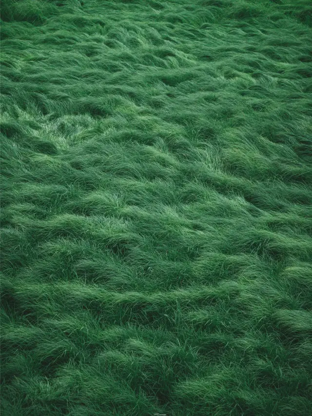 A 4-Day Trip to Xichang During Qingming Festival: Your Must-Read Guide