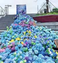 春日浪漫免費