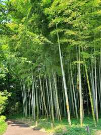 日本6日長者遊 悠閒玩樂不重樣