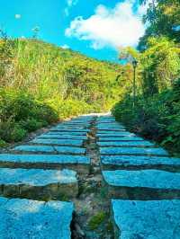 深圳陽臺山森林公園 | 城市中的自然寶藏