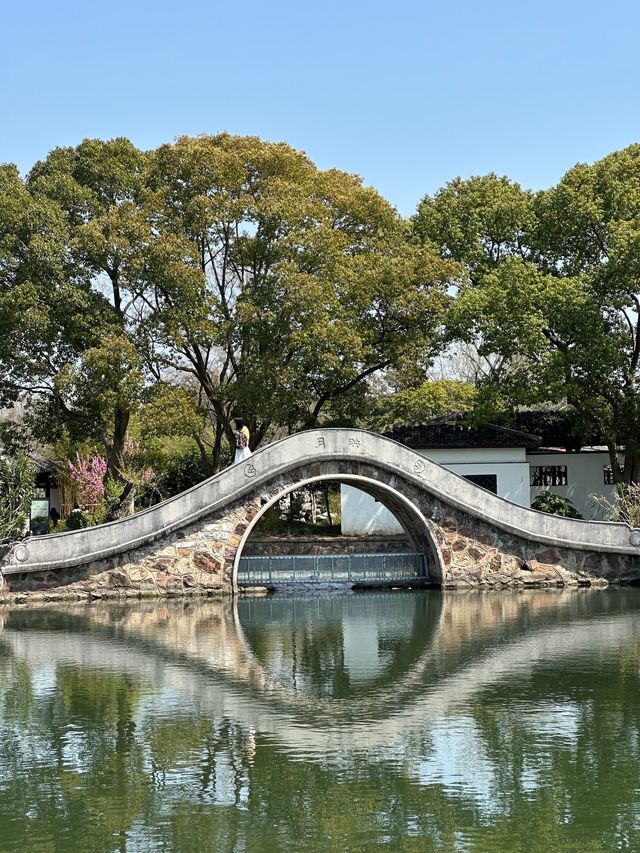 花開得正好｜週末往返無錫2日遊特種兵攻略