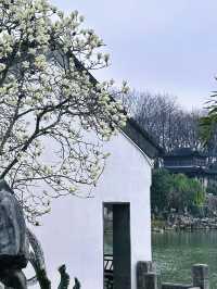 600年明朝重臣私家府邸，竟然藏在南京鬧市區
