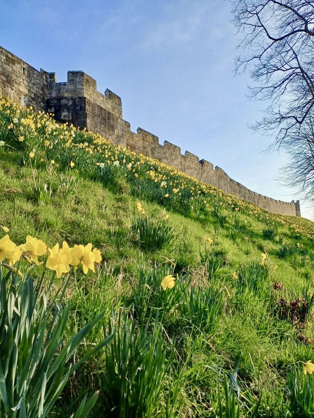 York City Walls: Medieval Vistas & Cathedral Spires