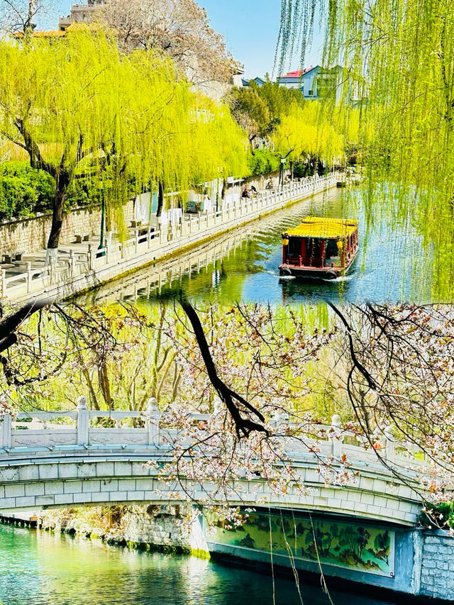 濟南嘅春天真係好正呀！