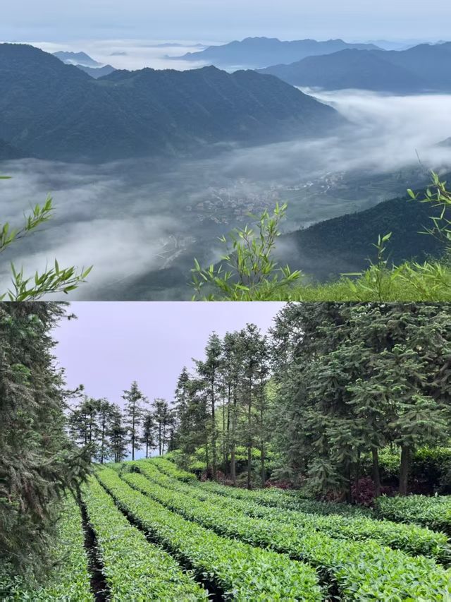 益陽雲台山風景區！