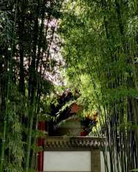 春日·三 之大慈恩寺 紫李白蘭襯紅牆佛塔。