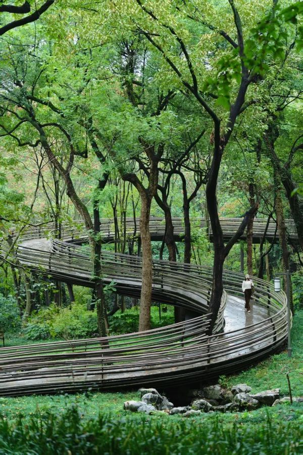 Discover the Most Relaxing City Walk Route Around West Lake!