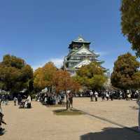 🌸穿越時光的大阪城公園之旅，超詳細攻略奉上