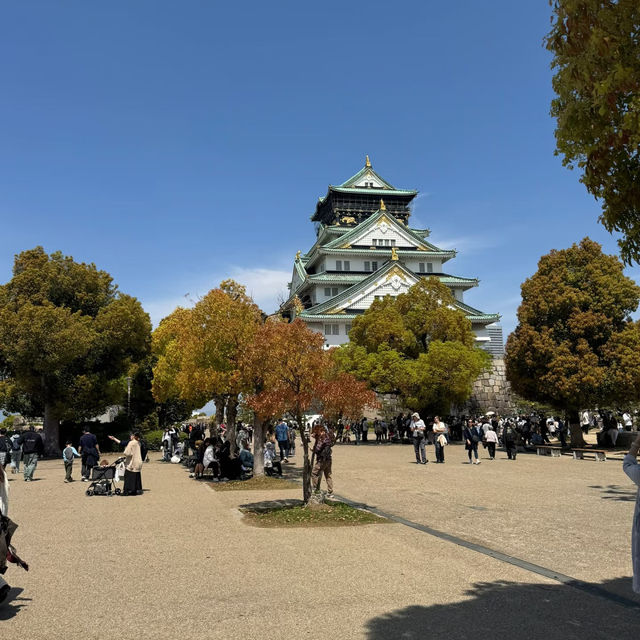 🌸穿越時光的大阪城公園之旅，超詳細攻略奉上