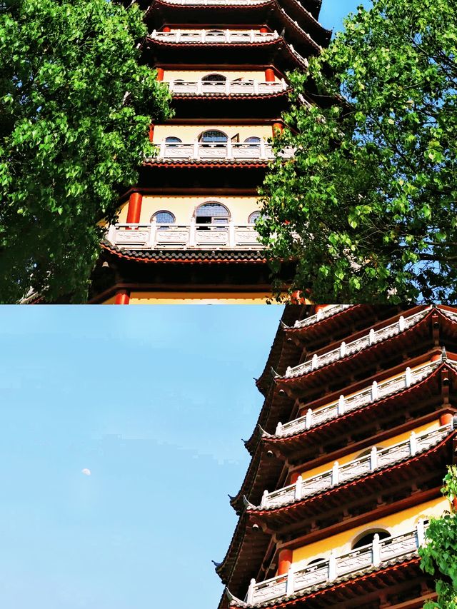 《這裡的美會過境！》