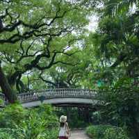 中山公園的20分鐘公園效應🍃
