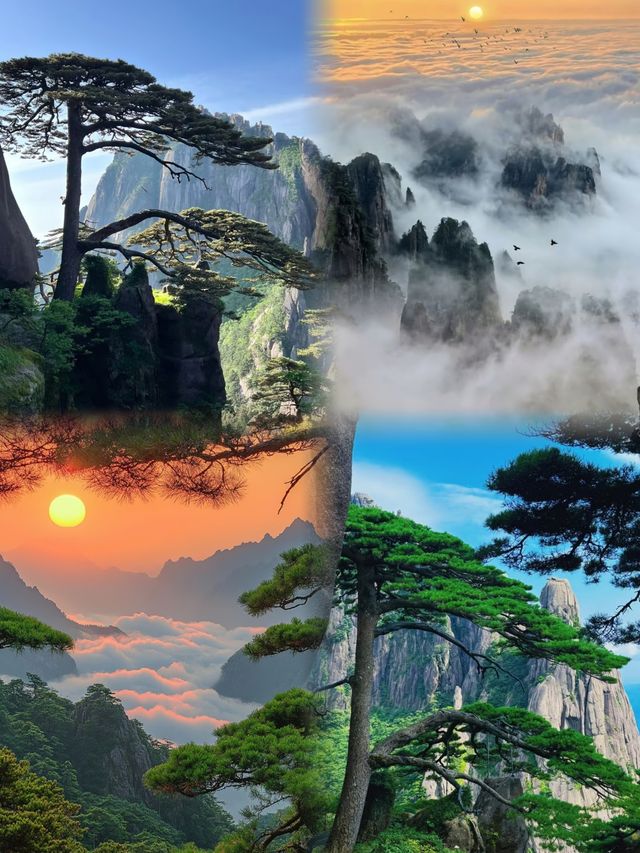 保姆攻略來了，避雷打卡推薦黃山