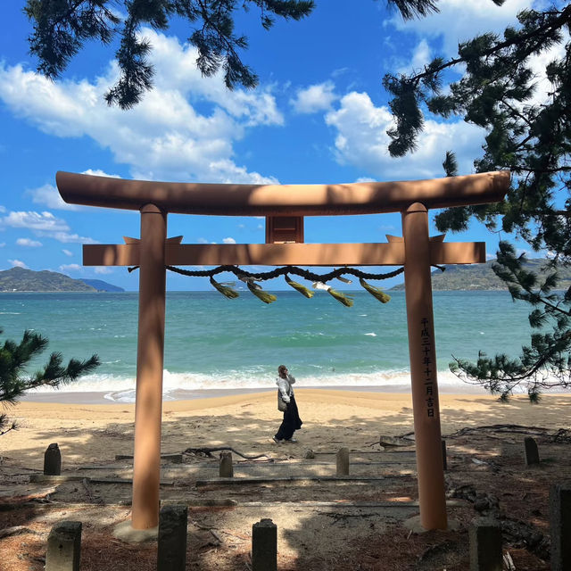 🌪️福岡松原海岸｜風狂日暖的海岸絮語：半小時車程的「頭被吹飛」體驗記