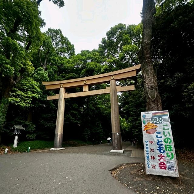  🇯🇵關東漫遊筆記｜漫步東京，邂逅古今交織的浪漫✨