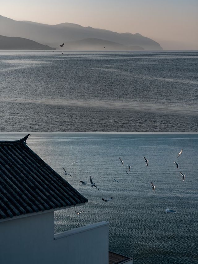 不下山 . 在洱海的沉淪與遐想