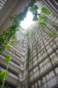 同我一齊住進深圳嘅桃花源