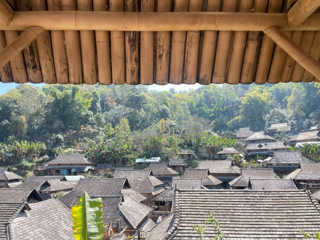 嘩塞！親們，我要給你們揭秘一個雲南嘅寶藏秘境——景邁山！