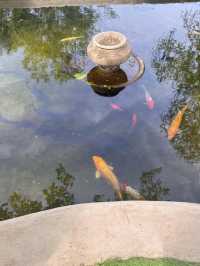 京郊吸氧好去處0難度唔使錢行山玩水棧道