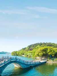 城市人嘅下鄉記：魚頭湯飲到飽，竹海茶園任影唔嬲