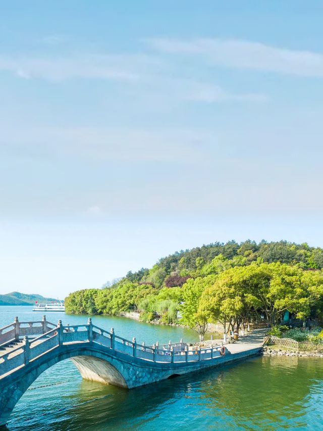 城市人嘅下鄉記：魚頭湯飲到飽，竹海茶園任影唔嬲