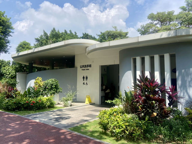 ☀️陽光下的沙井公園🌴✨城市中自然綠洲