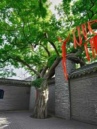 暴雨天帶仔衝泰州！呢3個伏讓我半夜喊醒