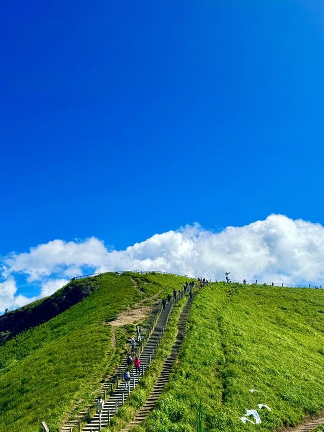 一句向雲端我便來到了武功山