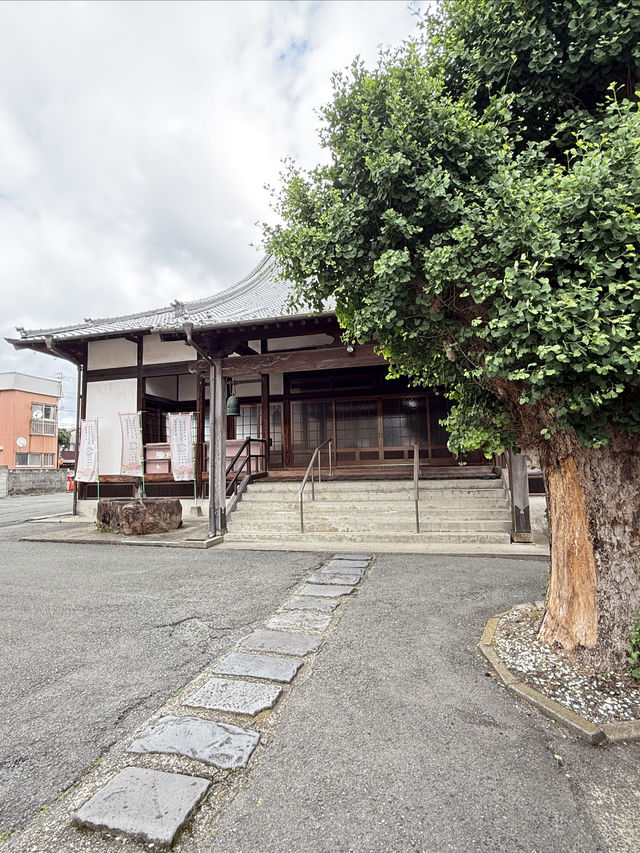 日本・九州熊本縣