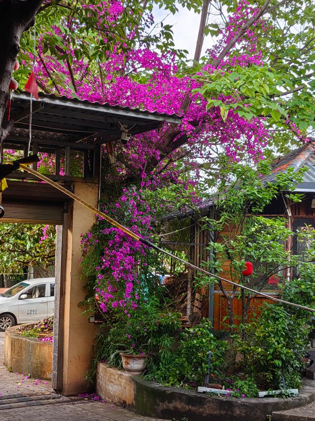 茶馬花園度假酒店