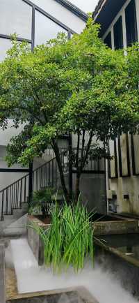 【住喺風景入面】九溪煙樹溪中溪：隱匿山林、最適合森林間徒步～