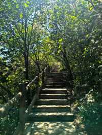 Pofeng ridge trails 
