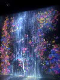 新加坡藝術科學博物館遊覽體驗
