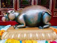 From Bunk Beds to Butter Lamps: A Night Inside Kumbum Monastery