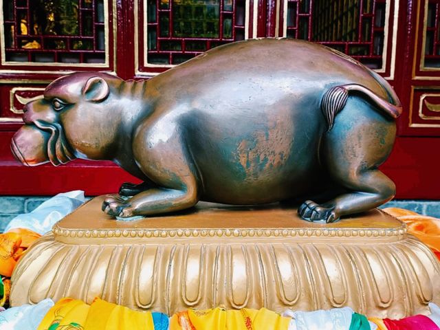 From Bunk Beds to Butter Lamps: A Night Inside Kumbum Monastery