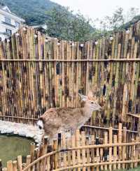 漳州木野山莊：新興旅遊地標