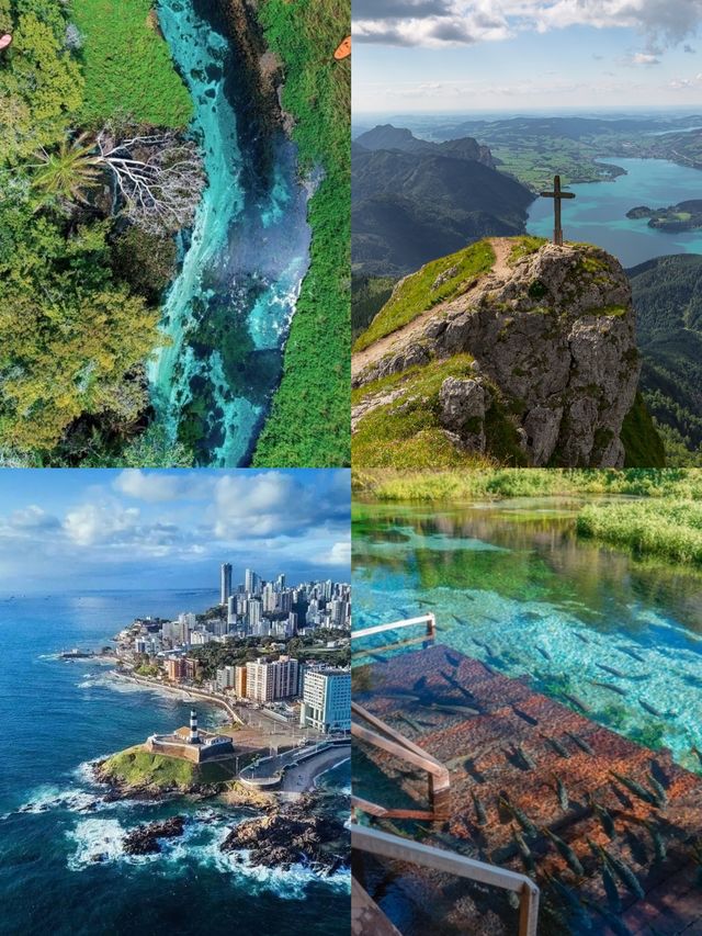 躺喺亞馬遜嘅星河入面，聽地球之肺嘅心跳