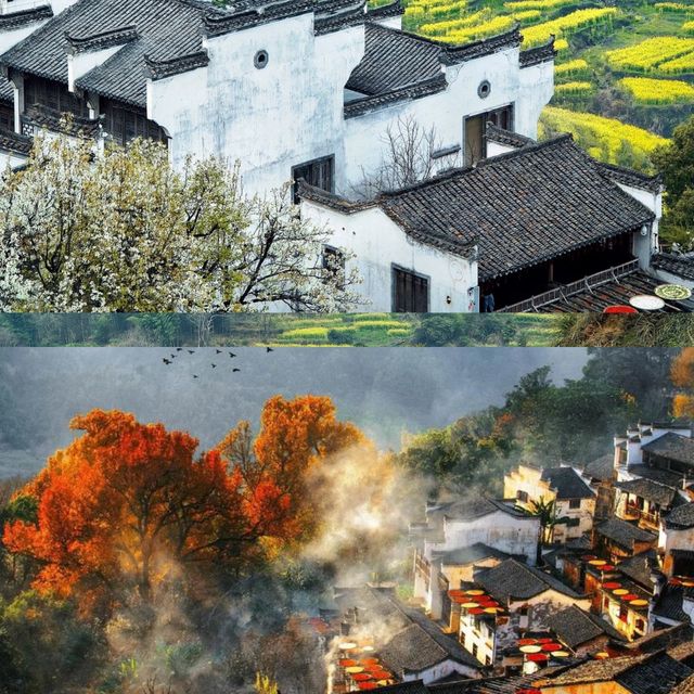 婺源3天2夜精華攻略