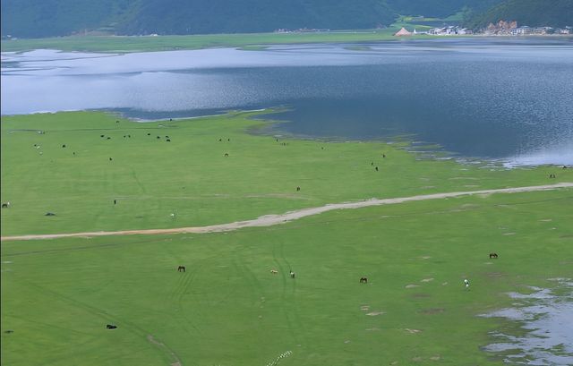 納帕海依拉草原