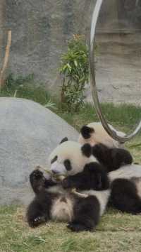 香港海洋公園·水上樂園 | 夏日消暑秘笈