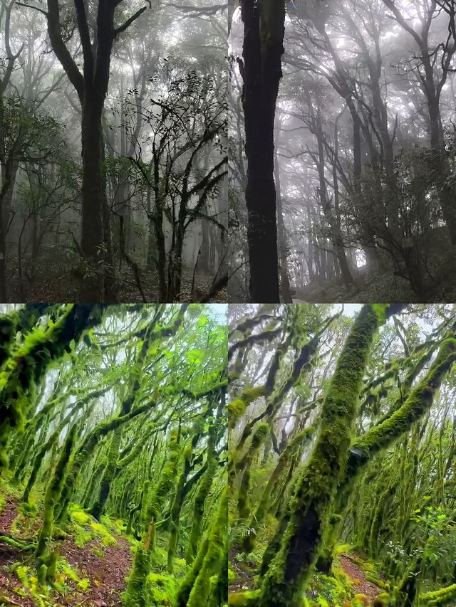 新平嘎灑：花腰傣鄉