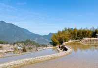 雲和梯田旅遊攻略
