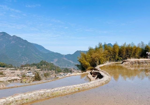 雲和梯田旅遊攻略