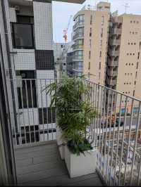 東京私藏寶藏酒店！住七八次都不膩😍
